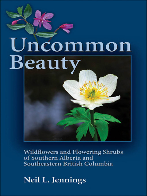 Title details for Uncommon Beauty by Neil L. Jennings - Available
